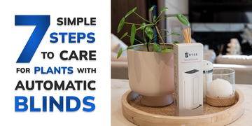 Beginner's Guide: Caring for Indoor Plants Using Automatic Blinds in 7 Easy Steps